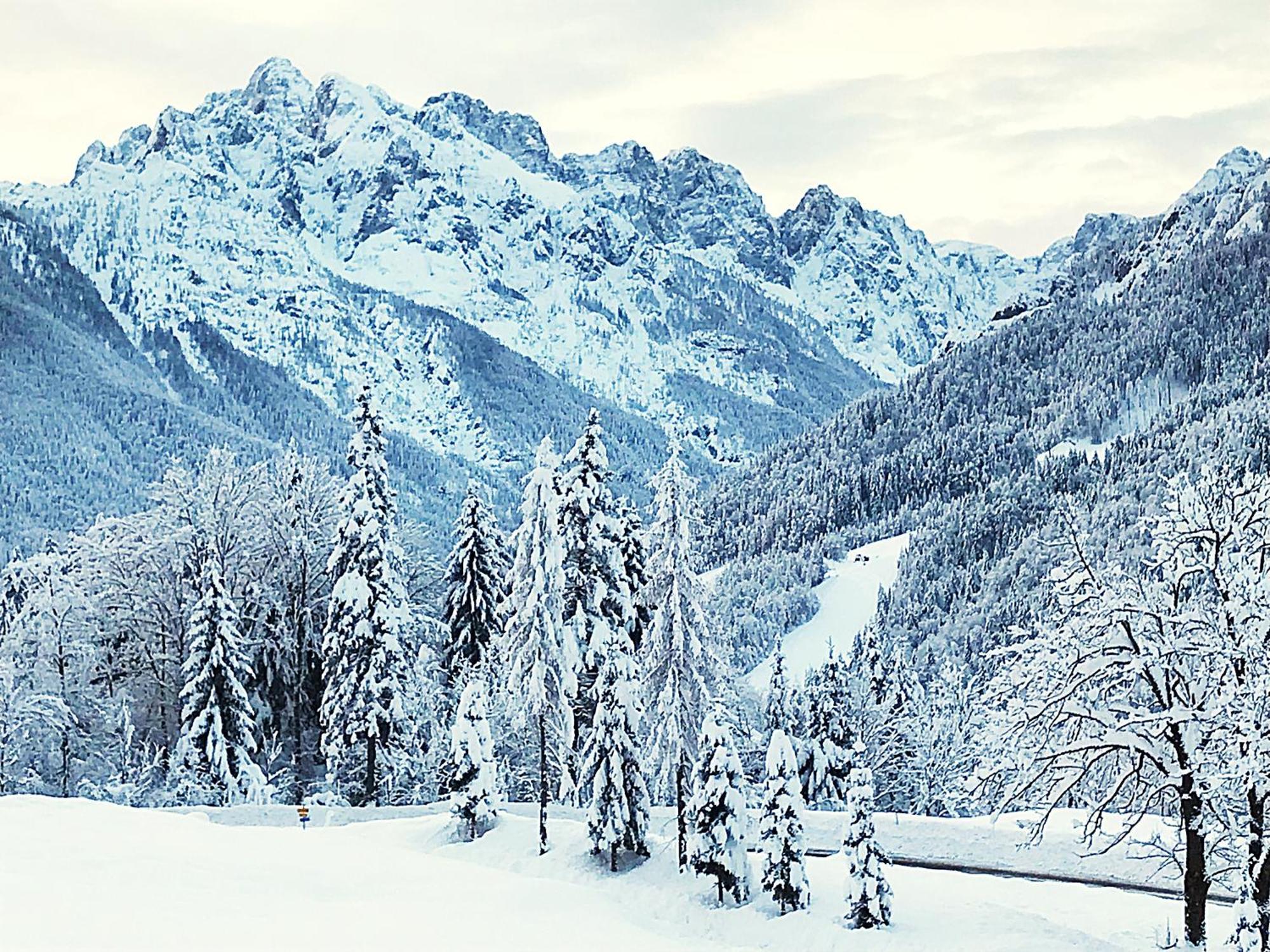 Pr'Gavedarjo Eco Heritage B&B Kranjska Gora Exteriér fotografie
